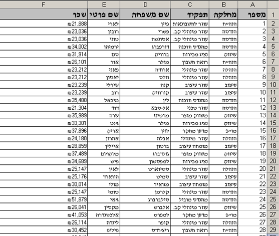 בחירת שורת כותרת באקסל לעיצוב