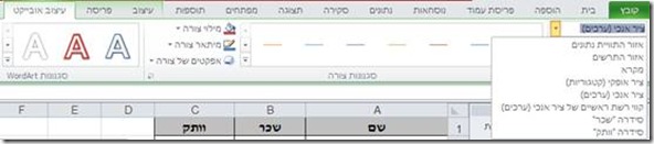 כרטיסייה עיצוב אובייקט באקסל 2010